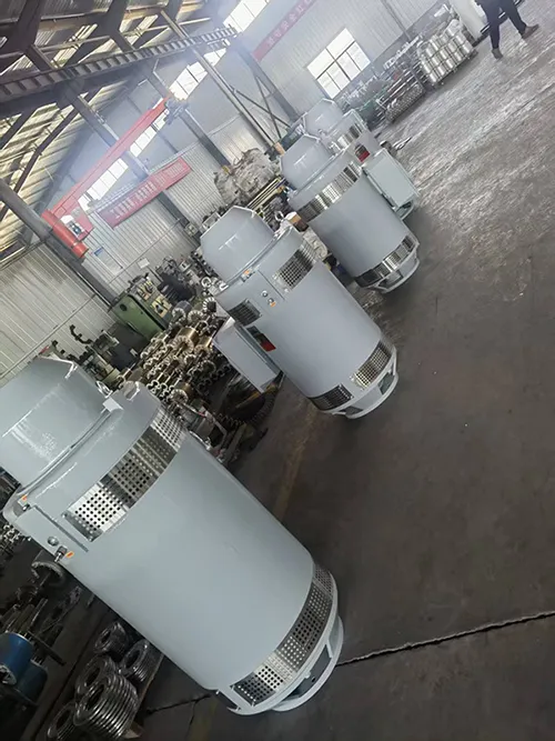 VHS5806P Вертикальный двигатель с полым валом (500 л.с., Трехфазный асинхронный двигатель)