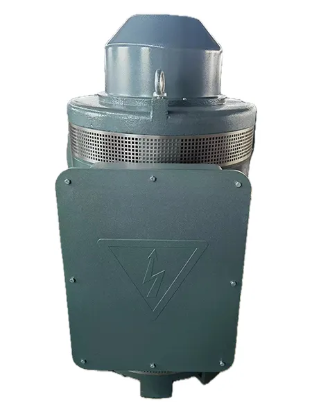 VHS445TP-4 Вертикальный двигатель с полым валом (250 л.с., Трехфазный асинхронный двигатель)