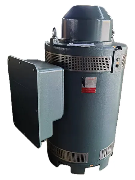 
VHS5008TP-4 Вертикальный двигатель с полым валом (500 л.с., Трехфазный асинхронный двигатель)