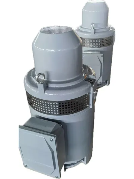 VHS5008P-4 Вертикальный двигатель с полым валом (650 л.с., Трехфазный асинхронный двигатель)